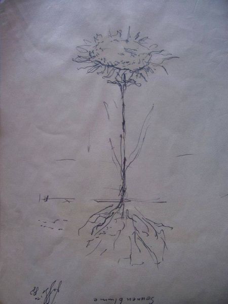 Datei:Bild Joachim.Stiller.Zeichnung1.jpg